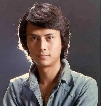 邓丽君林青霞山东,邓丽君和林青霞说山东话