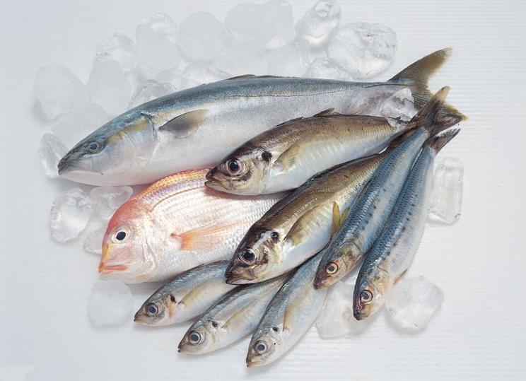 海鲜如何保鲜运输,运输海鲜怎么保持鲜活