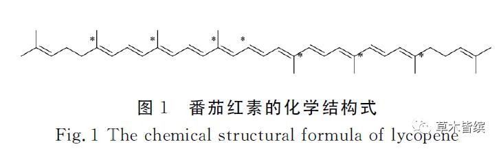 生吃西红柿番茄红素能吸收吗,西红柿怎么样营养价值才高