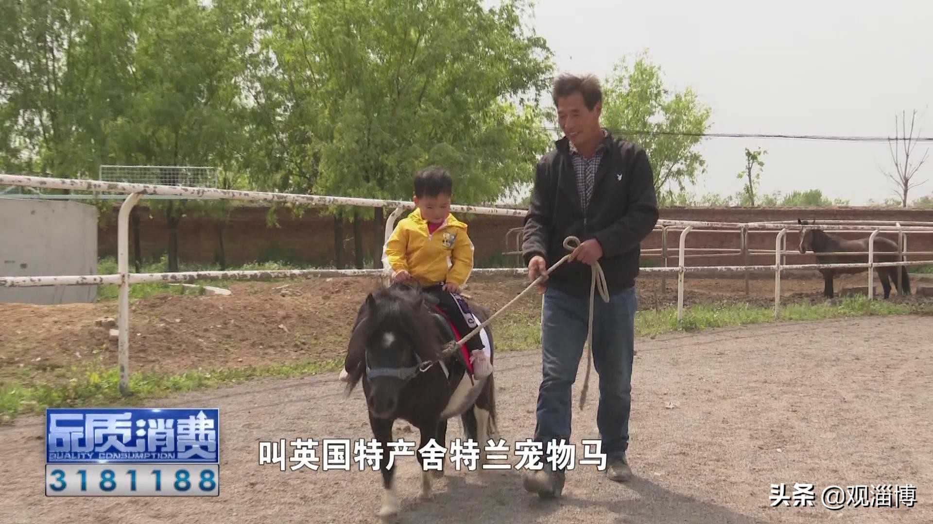 策马扬鞭“骑”乐无穷