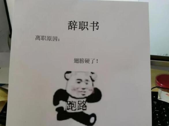 论00后的辞职信,00后扎心辞职信