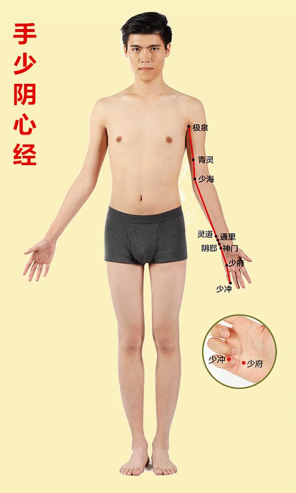 人体有十二条经络和三焦,人体有哪12条经络