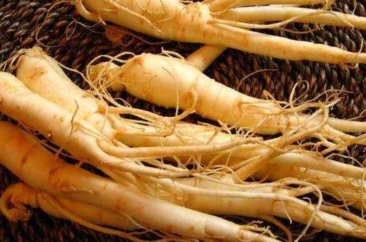 #清风计划#探寻人参千年密码,人参原来有这么多你不知道的事儿