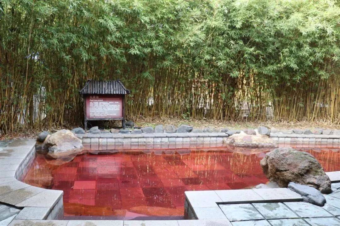 清远森波拉温泉晚餐,清远森波拉温泉度假村酒店报价