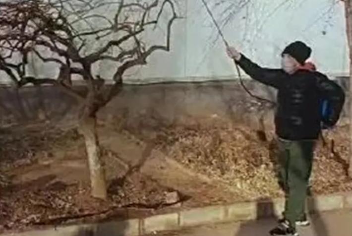 2024美术联考大纲,2022年美术联考各省试题难度排行