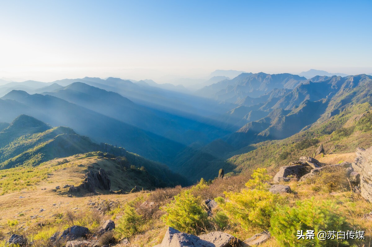 网络作家写手就业前景,网络作家与传统作家收入
