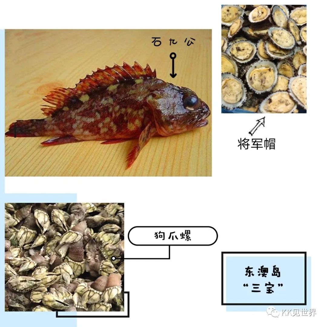 东澳岛环岛自驾一日游,东澳岛环岛一日游价格