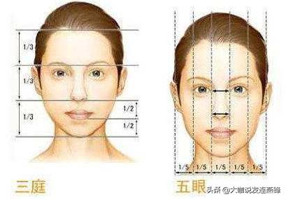 2500单位发际线,2000单位植发