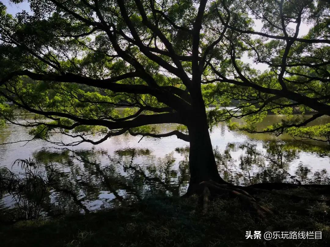 秋天的第一次旅程,秋天的第一场旅行30秒