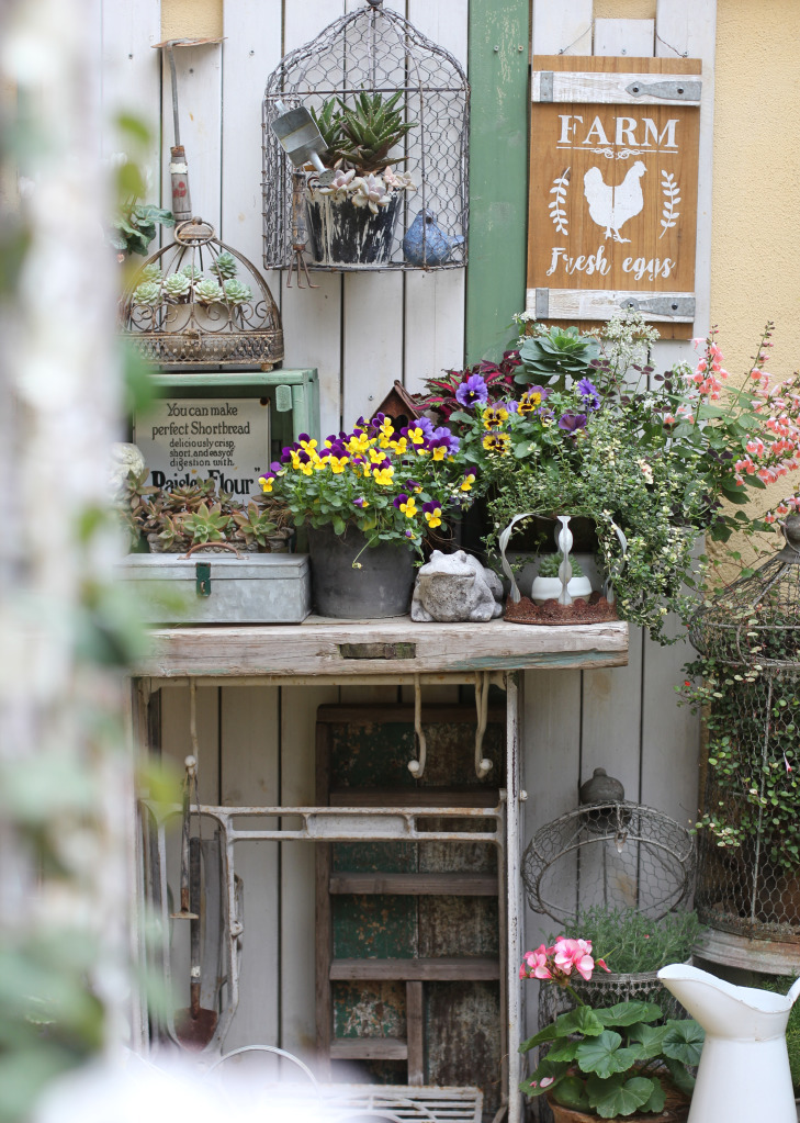 一个重度搪瓷爱好者的杂货花园