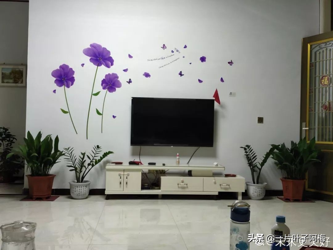 5个植物最招财,能开花又好养的植物又有寓意