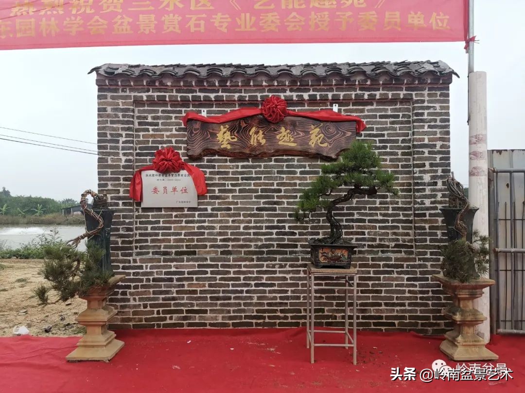 绿色金融业务发展好的银行,绿色银行的前景