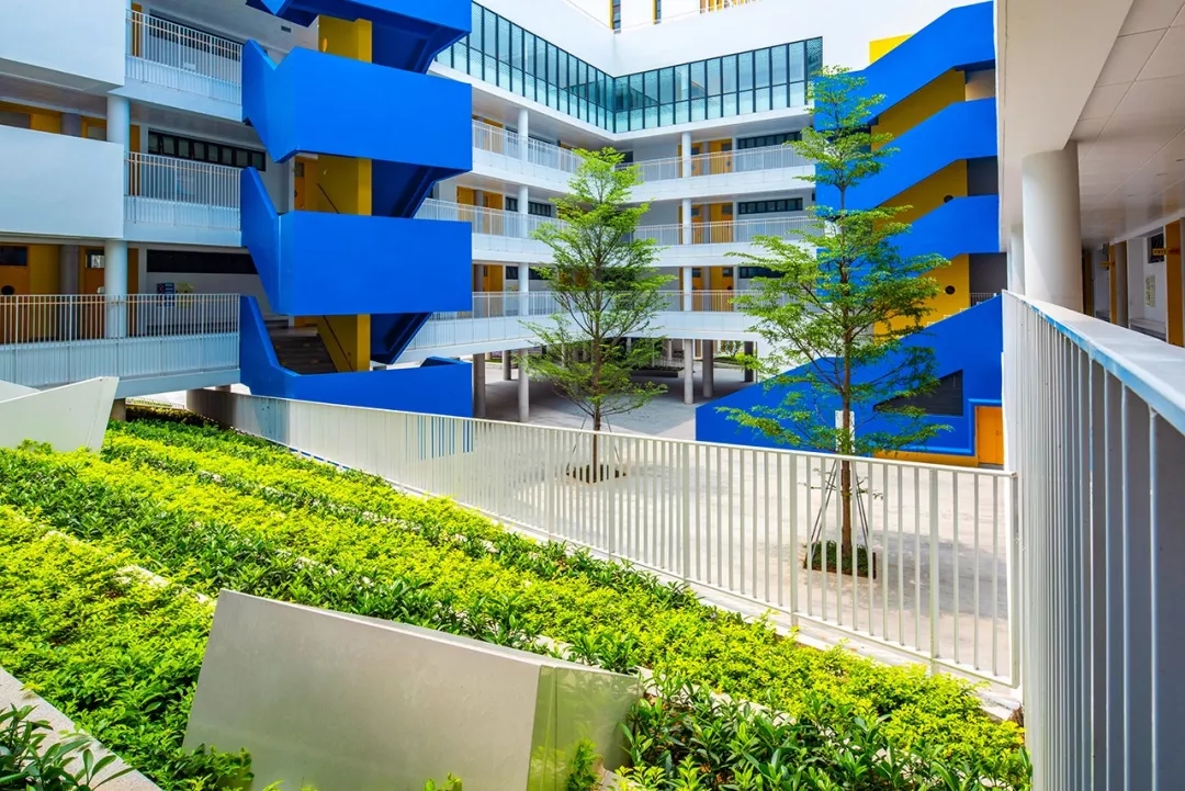 龙岗华中师范附属龙园学校怎么样,华中师大附属龙园学校深圳排名