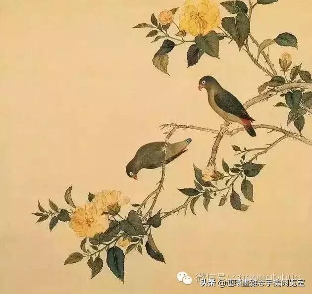 清宫鸟谱,清宫秘传鸟谱大全