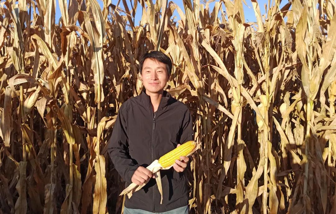 返乡创业青年演讲,返乡创业五四青年节演讲