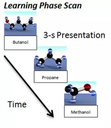 科学发现原子,科学发现植物的灵性