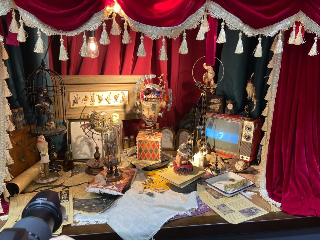 2021上海wf展集锦,今年wf展在哪里