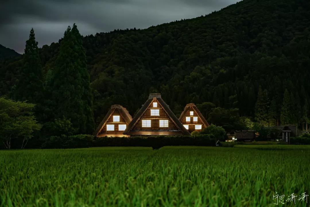 摄影初学者预算两千买什么相机,家用和旅游摄影买什么相机