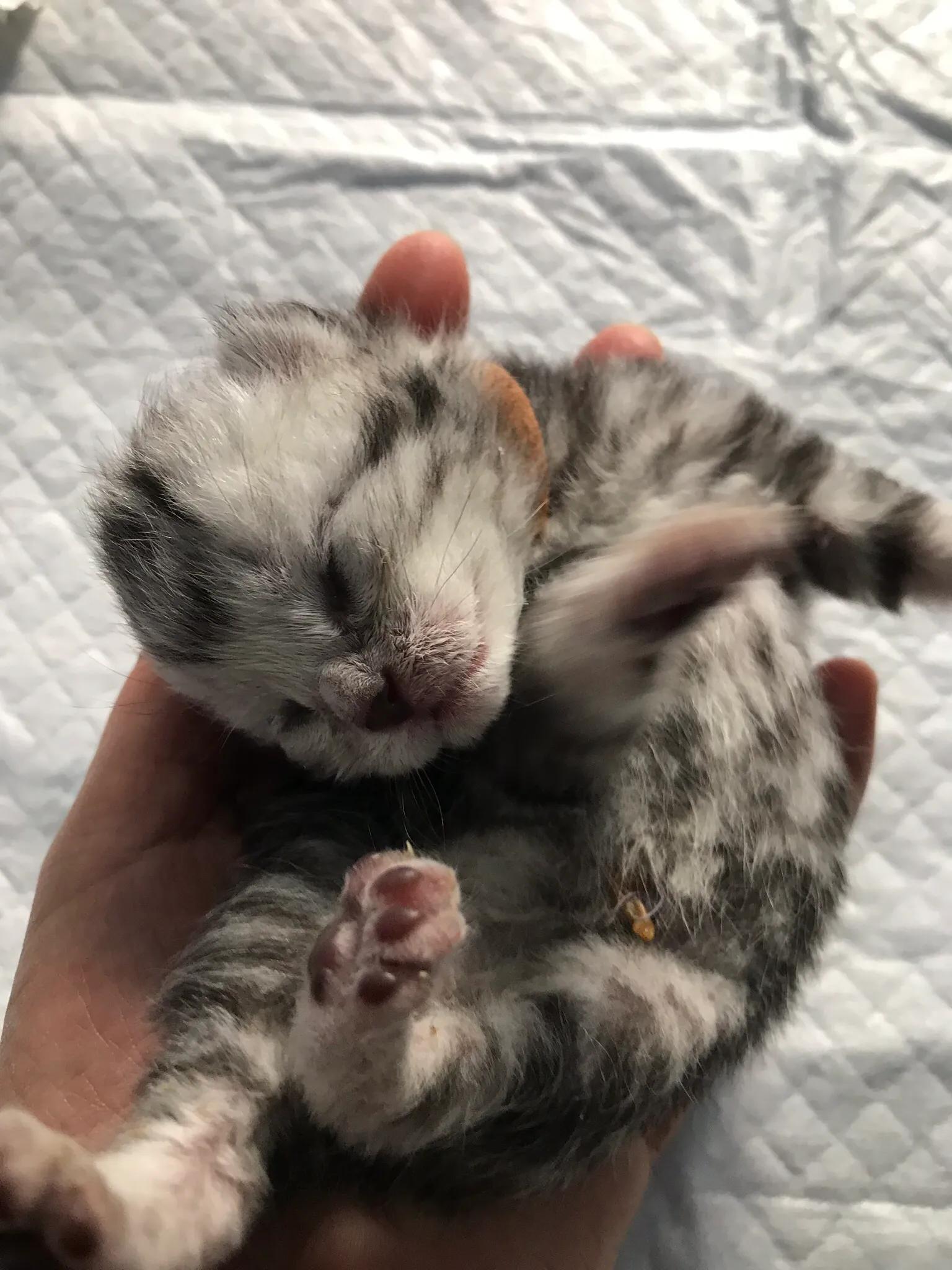 明天我的小屁屁要去深圳了