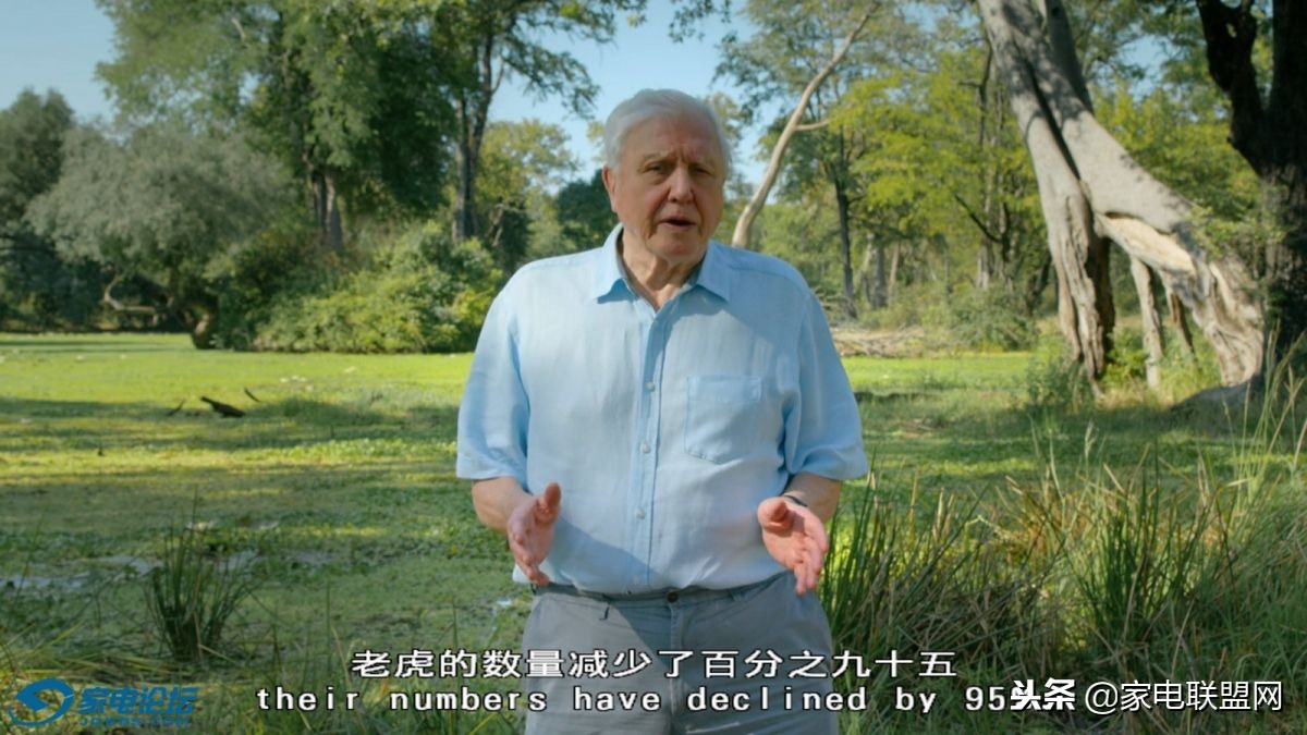 索尼蓝光ax700与x800m2哪个好 (索尼4k蓝光x700)