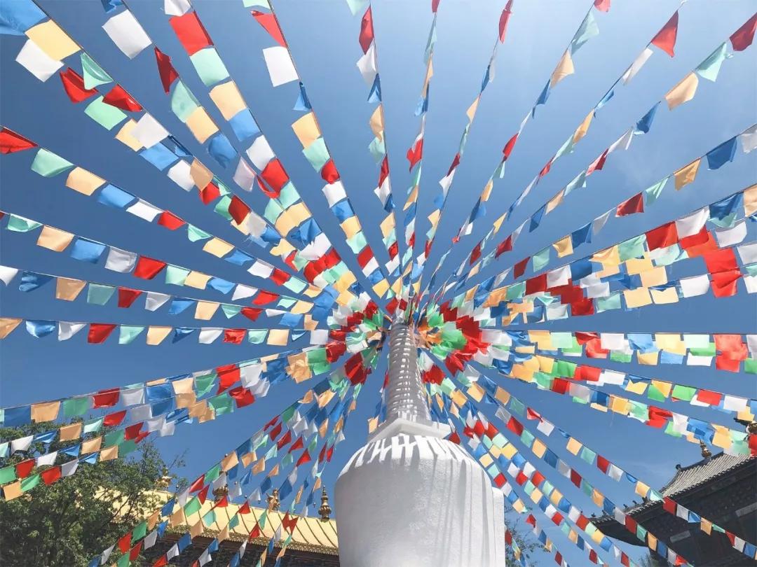 北京中考跨区统招技巧,北京中考统招是什么意思