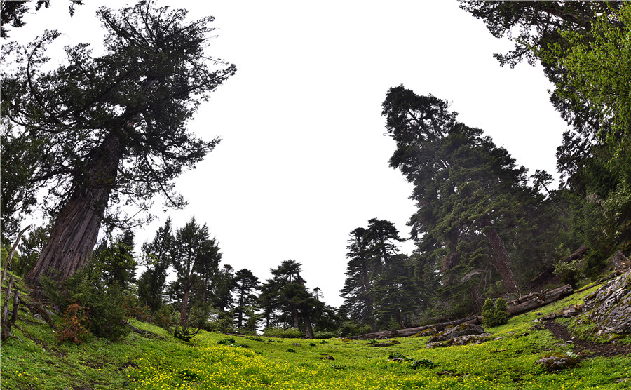 宜宾川藏线,宜宾自驾俱乐部参团西藏游