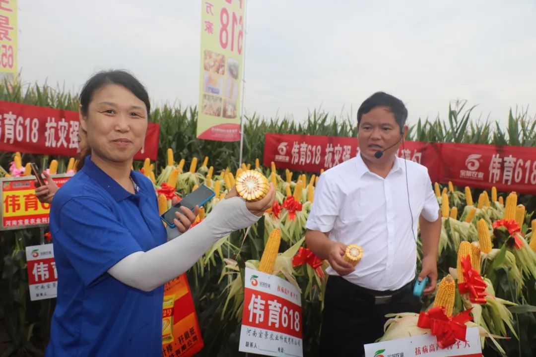 宝景农业,转变思路种地挣钱