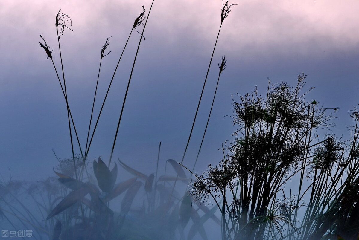 为什么父母和子女难以沟通,跟父母越来越难沟通怎么办