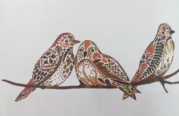 自然博物之旅,自然博物之旅感悟收获