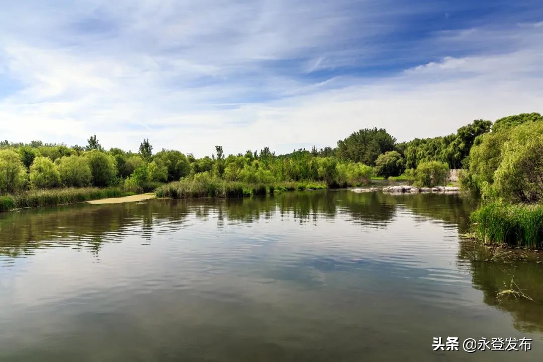 迷途的大象歌曲,迷途的小象