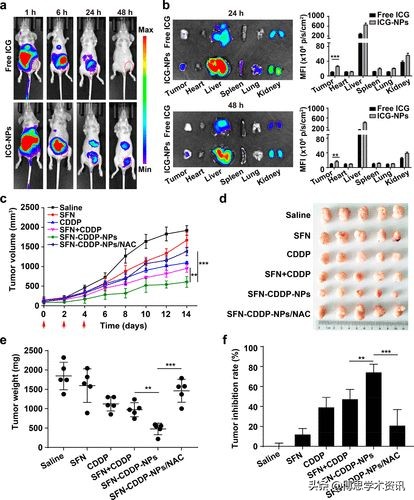 国家纳米中心ACSNano：耗竭谷胱甘肽以恢复顺铂化学敏感性
