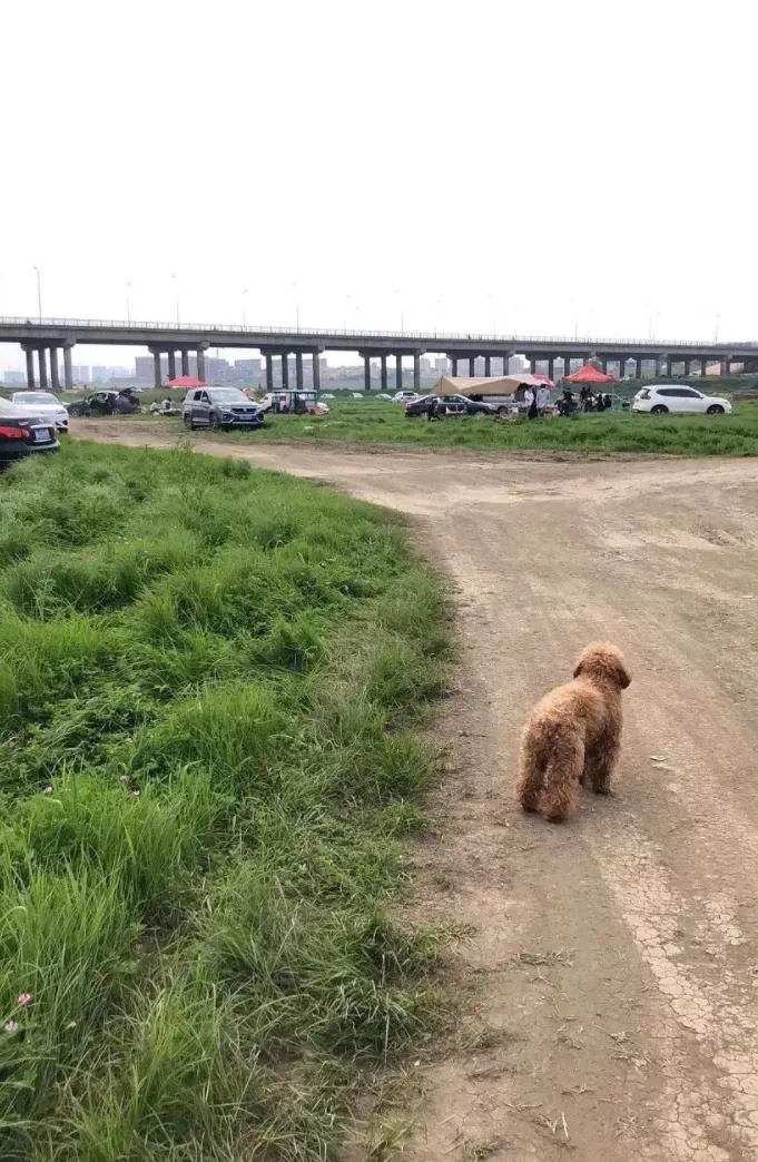 小红书修图滤镜,p图教你p网红滤镜