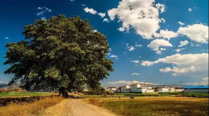 五一节大理景区哪些免票,五一大理免门票的景点有哪些