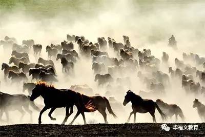 「读《诗经》时光」长风里歌声在飘荡｜苗瑞霞