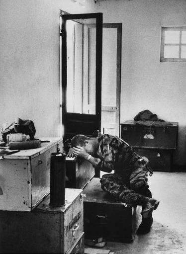 美军飞行员阵亡，机枪手情绪失控：与洋基爸爸13一起骑行