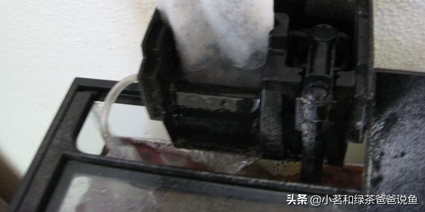 鱼缸上过滤系统和下过滤的区别,养观赏鱼的过滤方法视频教程全集