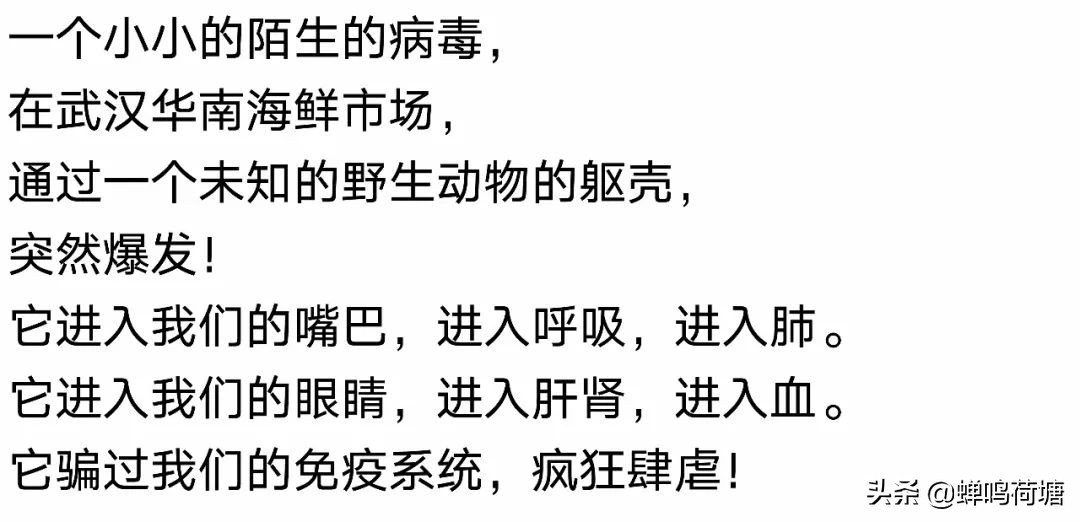 来自湖北的主播,湖北电台主持人隔空对话