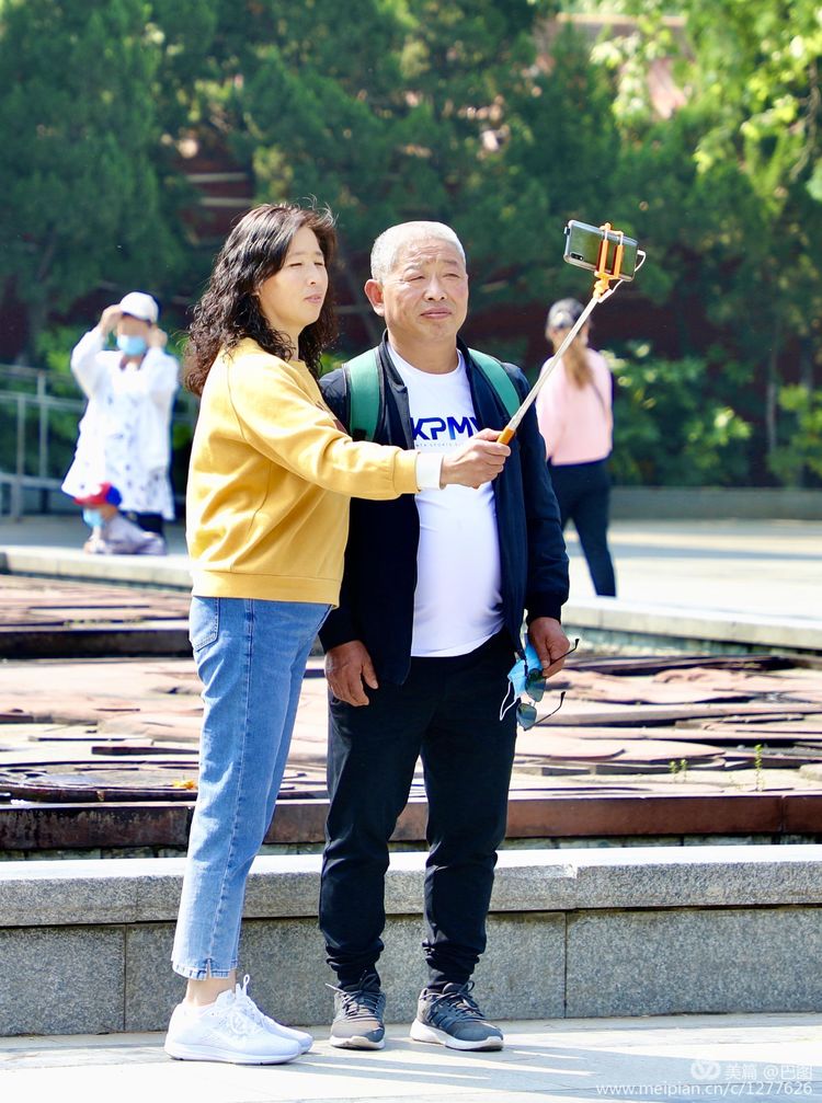 看洛阳牡丹花卉节,洛阳古都牡丹花展