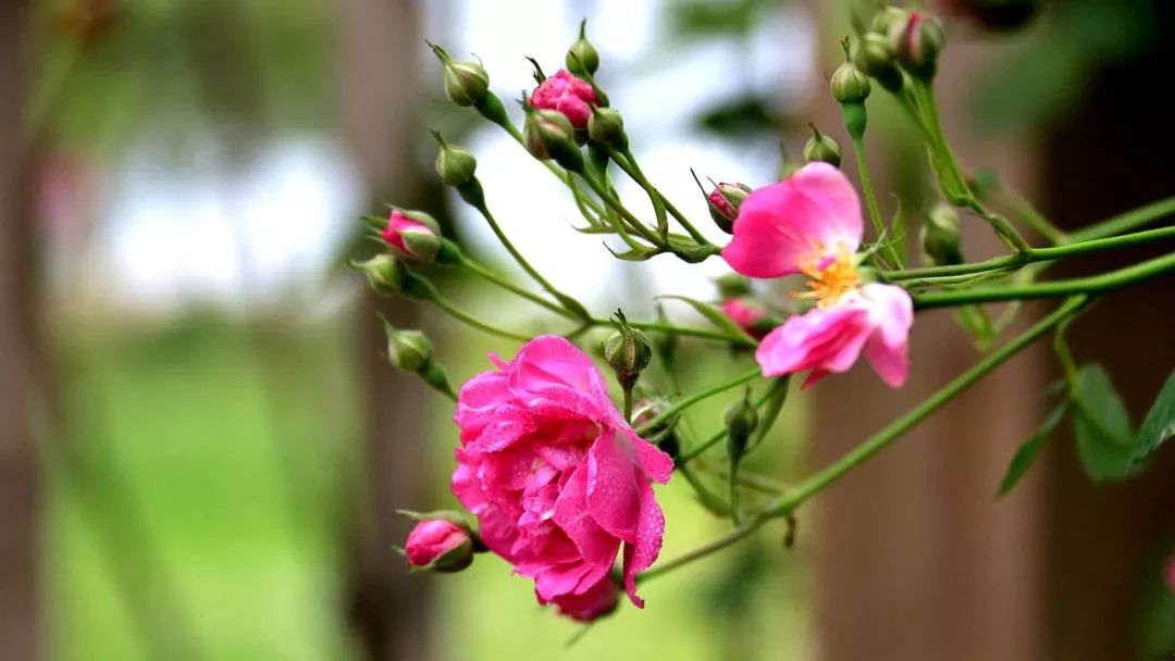南昌春游最值得去的景点有哪些,南昌五一最美景点