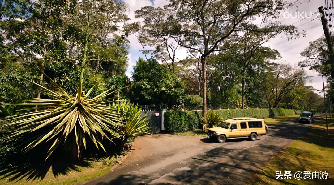 《猎狐》行动,200万能在非洲挥霍一生吗?