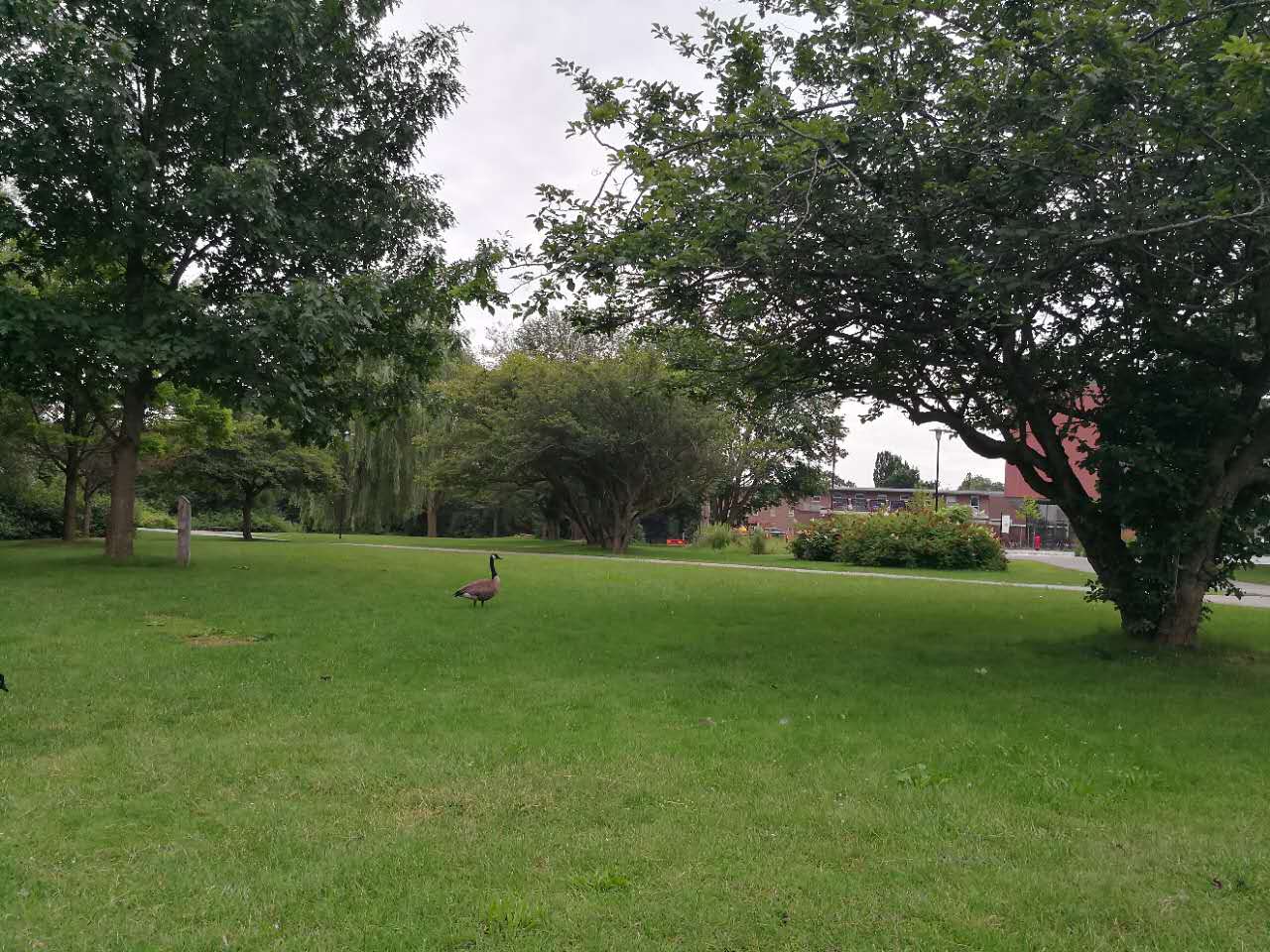 加拿大留学能带什么生活用品,加拿大留学带什么药最好