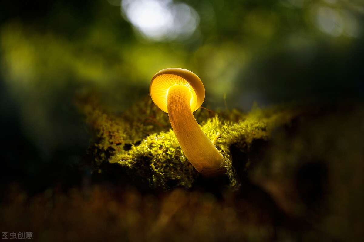 层次越低的人越喜欢抬杠,层次越低的人越喜欢挑别人的错