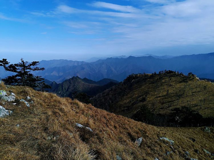 20201101惊悚之行~首阳山大坪梁单日横穿+原返