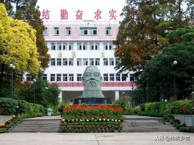 湖北前十名高考状元是谁,湖北高考历届状元学校排名