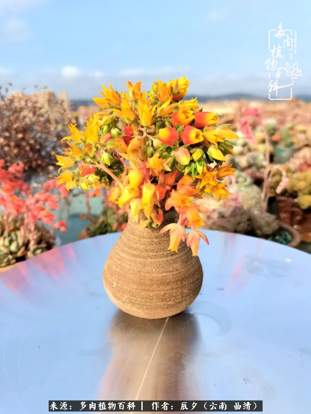 缂辩换鏃栨棊钁宠暏鐢熼,缂辩换鏃栨棊钁宠暏鐢熼鍑哄