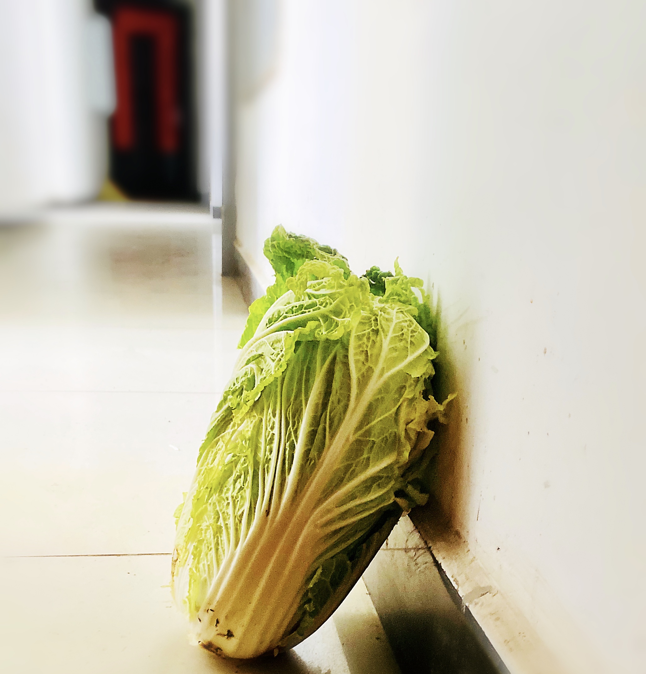 这个疫情中心的居民小区为何不卖惨？揭开逆境下的自强自愈秘笈