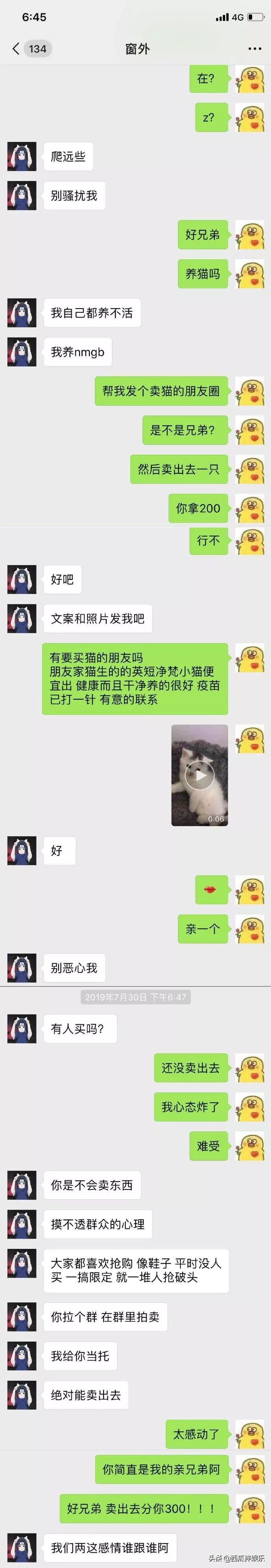 我常因为不够沙雕而跟你格格不入,我常常因为不够沙雕而格格不入图