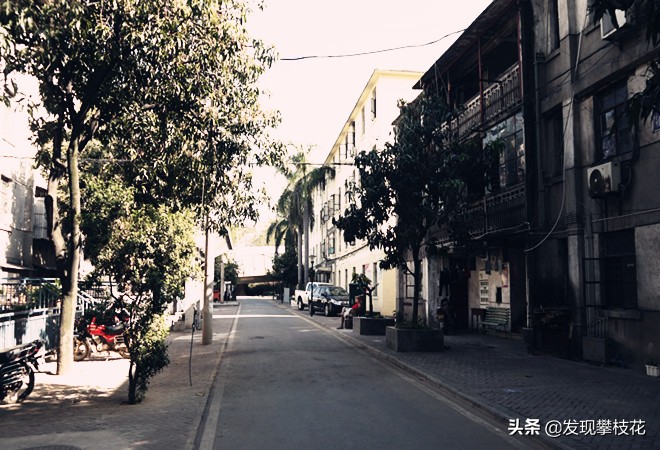 船厂生活区小区,攀枝花渡口船厂小区简介