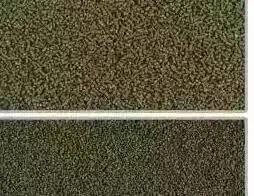 养虾技巧配料有哪些,虾饲料自动投喂