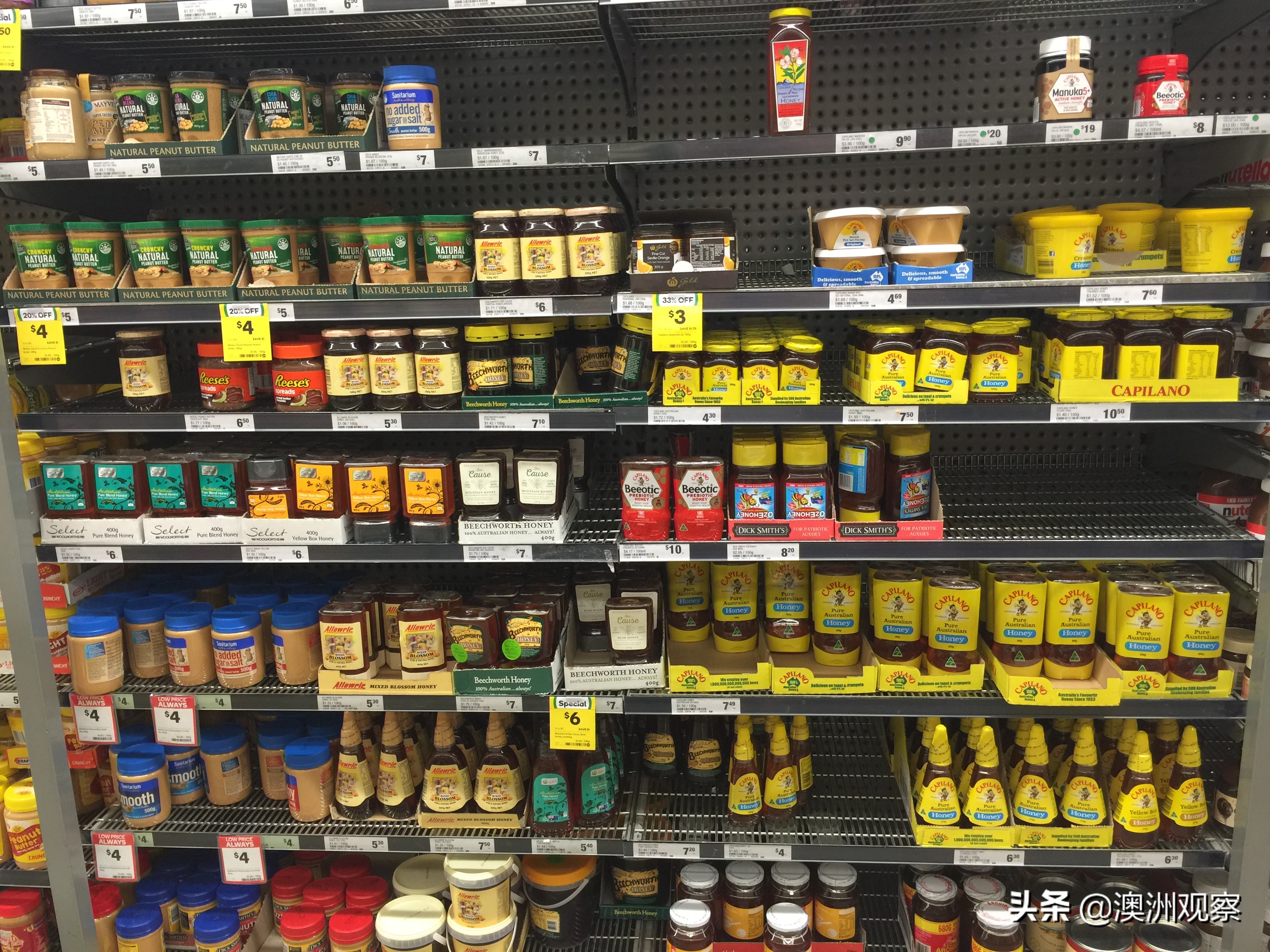 带你逛逛澳洲,带你看看物价有多贵